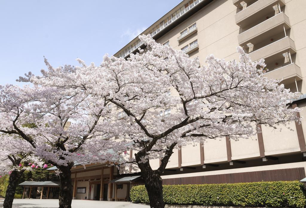 فندق جيرو أونسين سويميكان المظهر الخارجي الصورة Sakura trees in full bloom