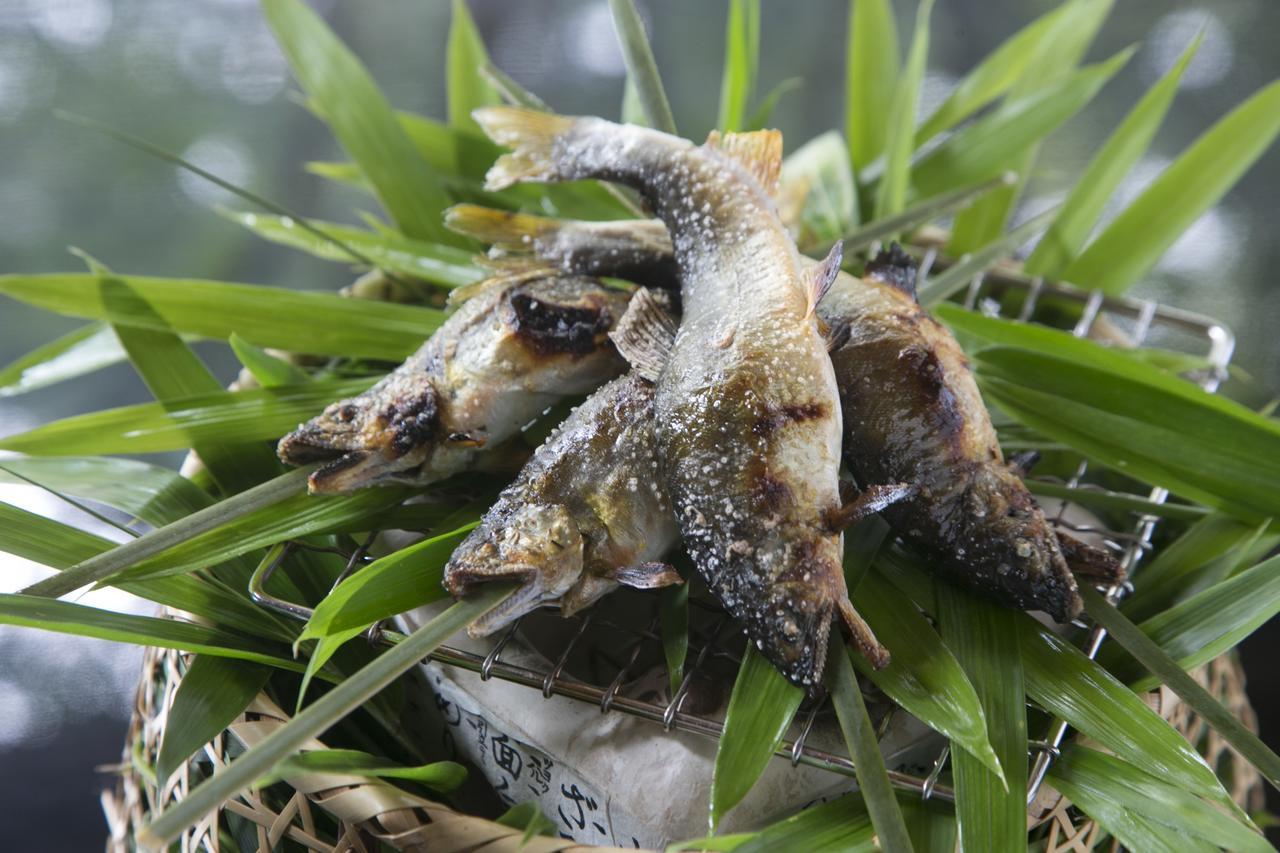 فندق جيرو أونسين سويميكان المظهر الخارجي الصورة A pair of the frogs